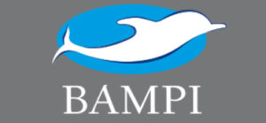bampi new logo
